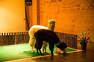 分析师建议索尼收购EA以应对微软收购动视暴雪